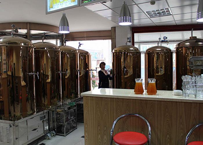 南阳专业啤酒生产设备型号厂家销售